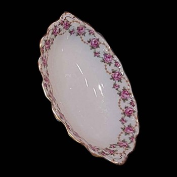 Theodore Haviland Limoges servies